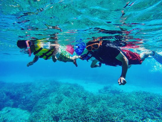 【ボート貸切】加計呂麻島ボートシュノーケリング 透明度の高い海でサンゴや魚を鑑賞 ＜2名～／約2.5時間／生間港発着＞ byカケロマアイランドリトリートハレハレ