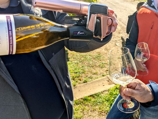 【貸切】ブルゴーニュ　半日ワインツアー　コート・ド・ボーヌ地区のドメーヌ訪問＆8種の試飲＜ボーヌ市内発／英語ガイド／約4時間／午前or午後／2～7名／専用車＞