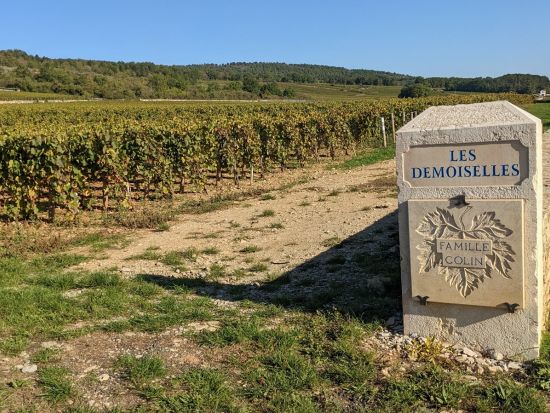 【貸切】ブルゴーニュ　半日ワインツアー　コート・ド・ボーヌ地区のドメーヌ訪問＆8種の試飲＜ボーヌ市内発／英語ガイド／約4時間／午前or午後／2～7名／専用車＞