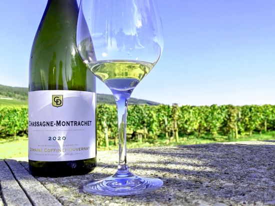 【貸切】ブルゴーニュ　半日ワインツアー　コート・ド・ボーヌ地区のドメーヌ訪問＆8種の試飲＜ボーヌ市内発／英語ガイド／約4時間／午前or午後／2～7名／専用車＞