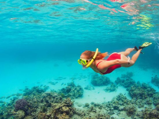 マウイ島　シュノーケリング＆セーリングツアー　昼食＆アルコールを含む飲み放題付き！＜4時間／英語ガイド／ラハイナ港発＞