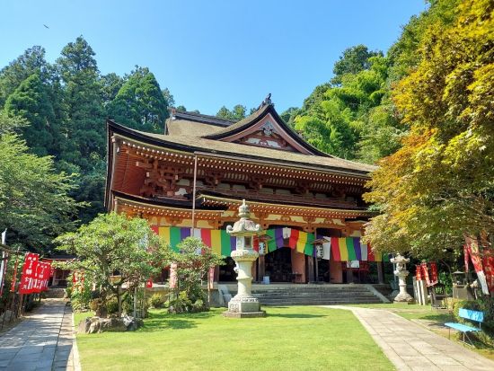竹生島上陸クルーズ 琵琶湖に浮かぶパワースポットへ！＜島内自由散策／長浜港発＞