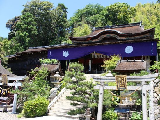 竹生島上陸クルーズ 琵琶湖に浮かぶパワースポットへ！＜島内自由散策／長浜港発＞