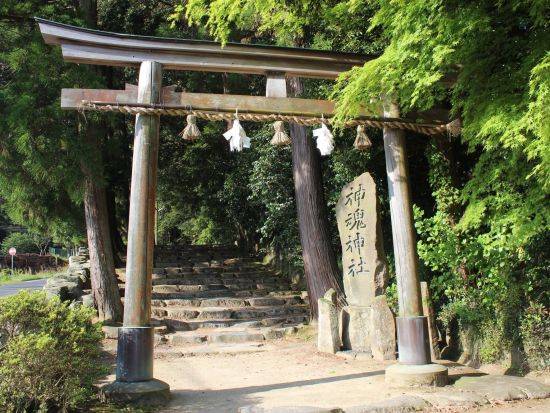 貸切観光タクシー 来たれ良縁！縁結びのご利益を授かる4つのパワースポット巡り＜5時間／1～9名／米子市発／出雲大社着＞by皆生タクシー