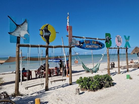 ホルボックス島観光ツアー！フェリーで行くユカタン半島の離島 多様な野生生物に出会える自然の宝庫をガイドがご案内＜1日／貸切／英語ガイド／昼食付／カンクン発＞