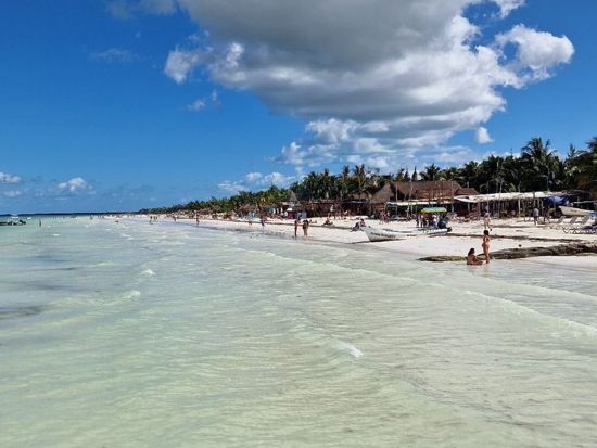 ホルボックス島観光ツアー！フェリーで行くユカタン半島の離島 多様な野生生物に出会える自然の宝庫をガイドがご案内＜1日／貸切／英語ガイド／昼食付／カンクン発＞