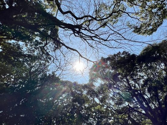 ZENネイチャープログラム大磯 自然と向き合い一体感を感じるワークショップ 坐禅＋トレッキング＋瞑想＜日帰り／神奈川＞