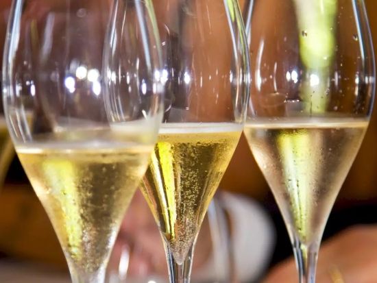 アルザス地方　ワイナリー3軒＆ワイン街道 終日ツアー ＜試飲付き／英語ドライバーガイド／少人数制／コルマール発着＞