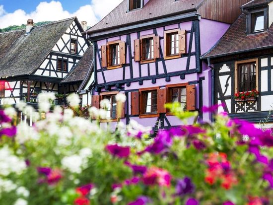 ophorus-491523-alsace-wine-tour-shared-day-trip