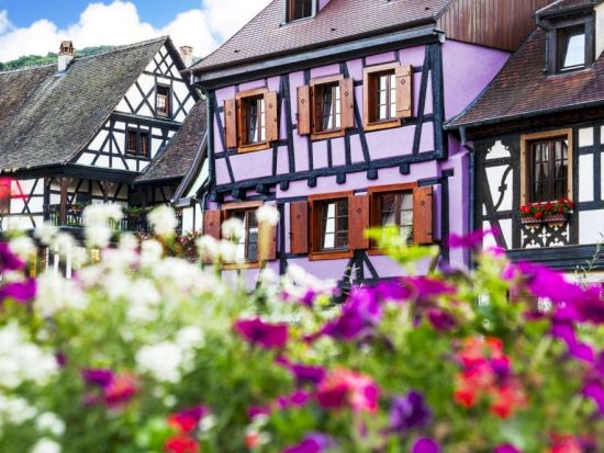 アルザス地方　ワイナリー3軒＆ワイン街道 終日ツアー ＜試飲付き／英語ドライバーガイド／少人数制／コルマール発着＞