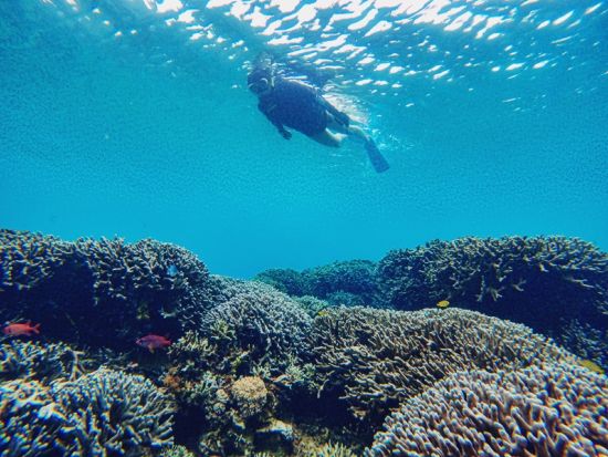 ボートも貸切！加計呂麻島 島内観光&ボートシュノーケリングツアー 水中写真プレゼント ＜2～3名／生間港発着＞ byカケロマアイランドリトリート ハレハレ