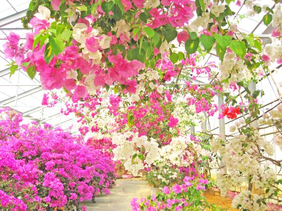 日帰り観光バスツアー　宮古島・伊良部島・下地島の色彩豊かな5大絶景スポットを巡る！人気の「17END」「砂山ビーチ」へもご案内＜1日ツアー／宮古島＞