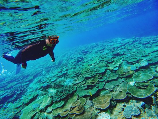 【女性限定／貸切】加計呂麻島 癒やしの1DAYリトリート マリンアクティビティ&アーユルヴェーダトリートメント by カケロマアイランドリトリート ハレハレ