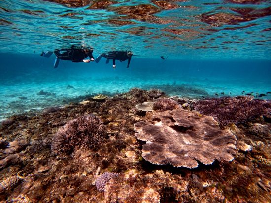 【女性限定／貸切】加計呂麻島 癒やしの1DAYリトリート マリンアクティビティ&アーユルヴェーダトリートメント by カケロマアイランドリトリート ハレハレ