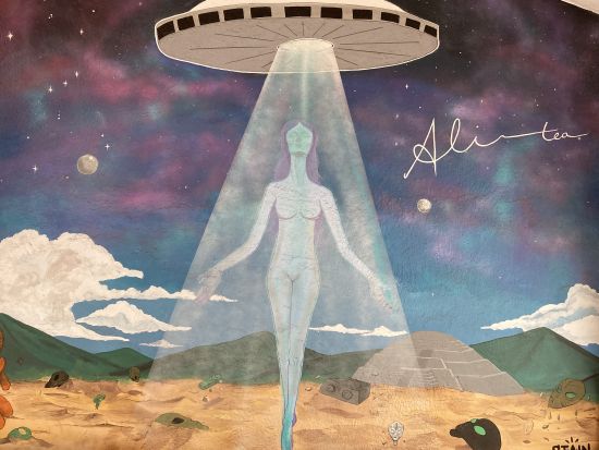 メキシコの神秘！宇宙人博物館「アリステア」古代マヤ文明と宇宙の謎に迫るプライベートツアー＜3時間／日本語ガイド／メキシコシティ発＞