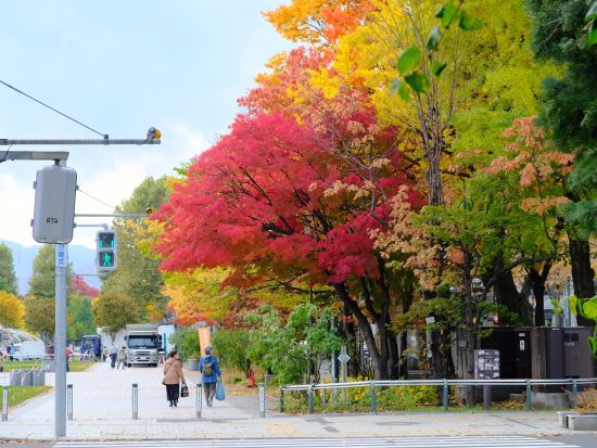 札幌市内 午前半日観光バスツアー 大倉山ジャンプ競技場＋白い恋人パーク＋札幌場外市場＜1名から催行／札幌駅発着＞