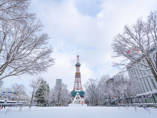 札幌市内 午前半日観光バスツアー 大倉山ジャンプ競技場＋白い恋人パーク＋札幌場外市場＜1名から催行／札幌駅発着＞