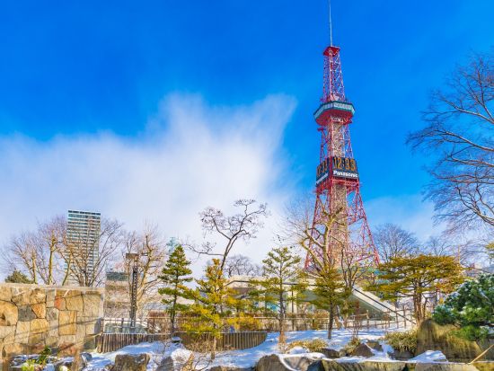 札幌市内 午後半日観光バスツアー 大倉山ジャンプ競技場＋羊ヶ丘展望台＜1名から催行／札幌駅発着＞by 北海道中央バス