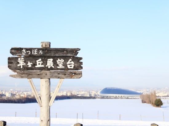 札幌市内観光 午後半日観光バスツアー 大倉山ジャンプ競技場＋羊ヶ丘展望台＜1名から催行／札幌駅発着＞by 北海道中央バス