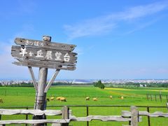 札幌市内 午後半日観光バスツアー 大倉山ジャンプ競技場＋羊ヶ丘展望台＜1名から催行／札幌駅発着＞by 北海道中央バス