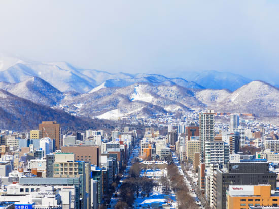 札幌市内観光 午後半日観光バスツアー 大倉山ジャンプ競技場＋羊ヶ丘展望台＜1名から催行／札幌駅発着＞by 北海道中央バス