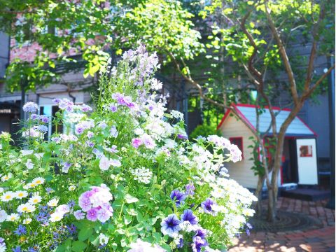 札幌市内 午前半日観光バスツアー 大倉山ジャンプ競技場＋白い恋人パーク＋札幌場外市場＜1名から催行／札幌駅発着＞
