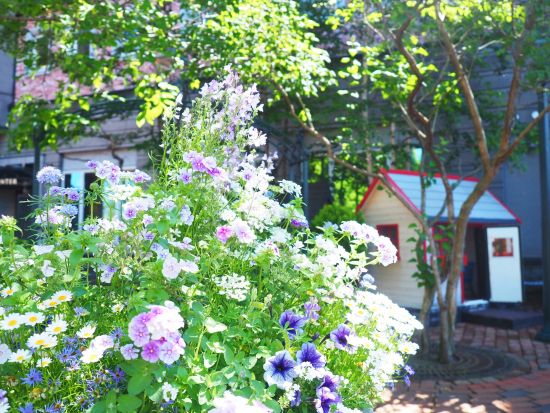 札幌市内 午前半日観光バスツアー 大倉山ジャンプ競技場＋白い恋人パーク＋札幌場外市場＜1名から催行／札幌駅発着＞