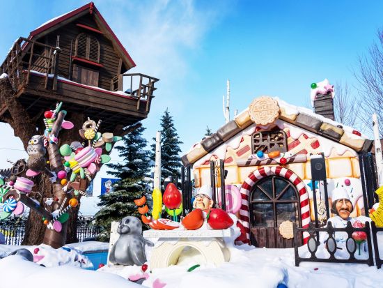 札幌市内 午前半日観光バスツアー 大倉山ジャンプ競技場＋白い恋人パーク＋札幌場外市場＜1名から催行／札幌駅発着＞