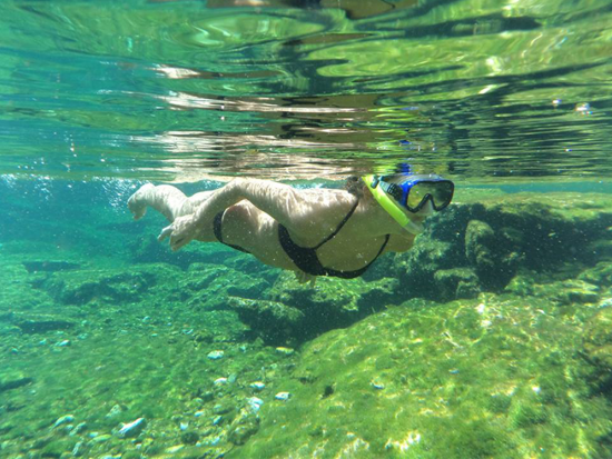 3種のウミガメが生息する自然の楽園「アクマル」＋セノーテ シュノーケリングツアー＜半日／混載 or 貸切／英語ガイド／カンクン発＞