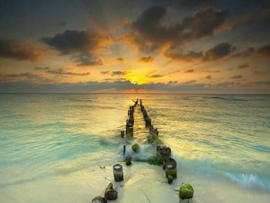 ホルボックス島観光ツアー！フェリーで行くユカタン半島の離島 多様な野生生物に出会える自然の宝庫をガイドがご案内＜1日／貸切／英語ガイド／昼食付／カンクン発＞