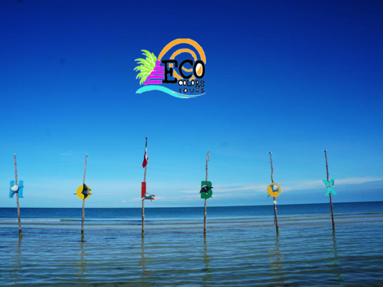 ホルボックス島観光ツアー！フェリーで行くユカタン半島の離島 多様な野生生物に出会える自然の宝庫をガイドがご案内＜1日／貸切／英語ガイド／昼食付／カンクン発＞