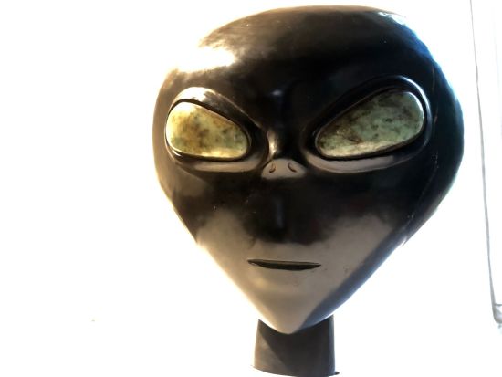 メキシコの神秘！宇宙人博物館「アリステア」古代マヤ文明と宇宙の謎に迫るプライベートツアー＜3時間／日本語ガイド／メキシコシティ発＞