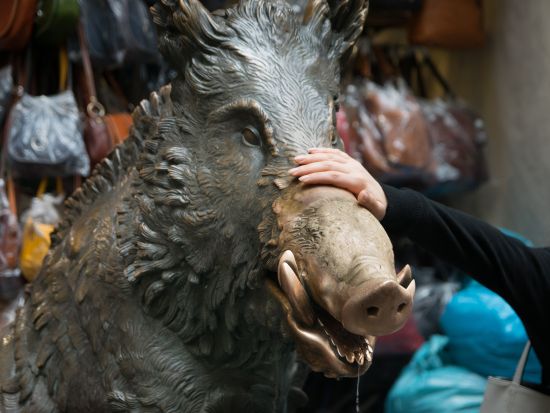 フィレンツェ市内観光＋ウフィツィ美術館入場 プライベートツアー＜午前・午後／日本語ガイド＞