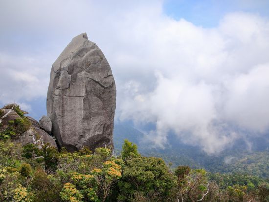 太忠岳トレッキングツアー 屋久島公認ガイドまなつさんがご案内！ヤクスギランド150分コースを抜けて太忠岳頂上の『天柱石』を目指す！by オフィスまなつ