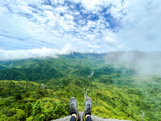 白谷雲水峡（太鼓岩まで）トレッキングツアー/ 屋久島町公認ガイドまなつさんがご案内！ by オフィスまなつ