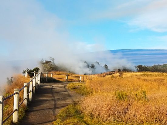 shutterstock_650093590