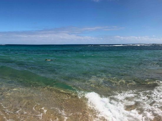 shutterstock_1348086281