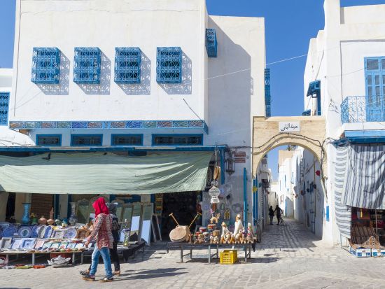 チュニス近郊世界遺産ハイライト 1泊2日ツアー　ケロアン＆カルタゴ＆ドゥッガ＆エル・ジェムなど ＜貸切／食事付き／日本語または英語ガイド／チュニス発＞