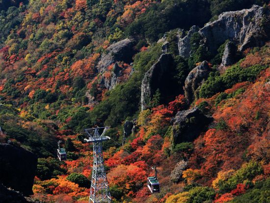 寒霞渓ロープウェイ紅葉2018