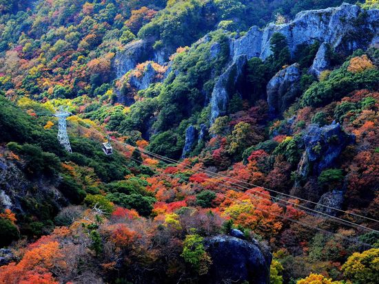 寒霞渓ロープウェイと紅葉