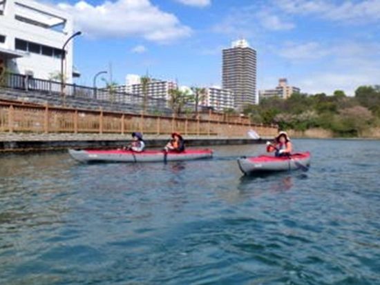 cab9256bf8d22bbe7120c6cccd66ed7a