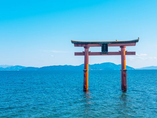 貸切観光タクシー 白髭神社・メタセコイア並木を周るおすすめ観光コース＜5時間／1～9名／大津市内発着／京都発着オプションあり＞by 滋賀ヤサカ自動車