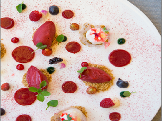 ミシュラン2つ星レストラン「エノテカ ラ トッレ」でのディナー＋ピンチョの丘でのローマ夜景鑑賞＜英語ドライバー／専用車で移動／送迎付き＞