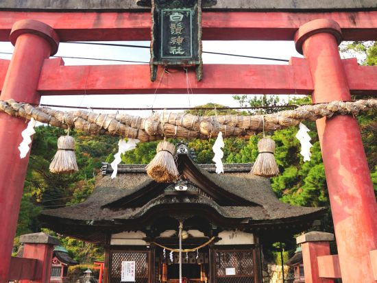 貸切観光タクシー 白髭神社・メタセコイア並木を周るおすすめ観光コース＜5時間／1～9名／大津市内発着／京都発着オプションあり＞by 滋賀ヤサカ自動車