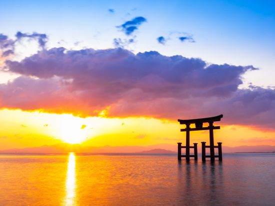 貸切観光タクシー 白髭神社・メタセコイア並木を周るおすすめ観光コース＜5時間／1～9名／大津市内発着／京都発着オプションあり＞by 滋賀ヤサカ自動車