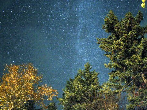 然別湖ナイトウォッチング　本物の自然の真っ暗な夜、知ってる？五感をフルに使って夜の世界を満喫！＜4～10月／然別湖＞by然別湖ネイチャーセンター