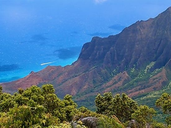 カウアイ島観光ツアー　ウェストサイドコース　ワイメア渓谷＋ハナペペ＋コロア・ポイプ＋カウアイコーヒー農園など＜貸切／日本語ガイド＞