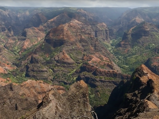 カウアイ島観光ツアー　ウェストサイドコース　ワイメア渓谷＋ハナペペ＋コロア・ポイプ＋カウアイコーヒー農園など＜貸切／日本語ガイド＞