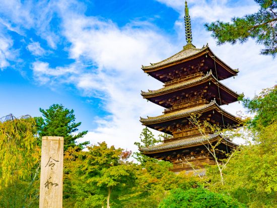 貸切観光タクシー 金閣寺・龍安寺・仁和寺を周る世界遺産巡りコース＜４時間／大津市内発／京都市内着／京都市内発オプションあり／1～9名＞by 滋賀ヤサカ自動車