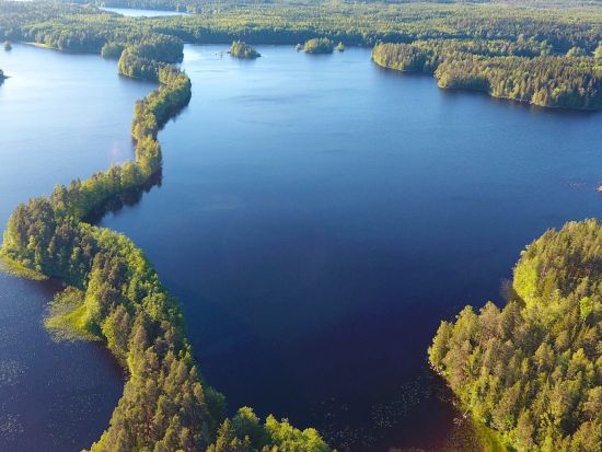 フィンランドの森と湖を満喫！リエスヤルヴィ国立公園（Liesjärvi National Park）ハイキングツアー＜英語ガイド／昼食付／ヘルシンキ発＞